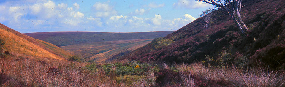 Exmoor National Park, North Devon, a Guide for Visitors