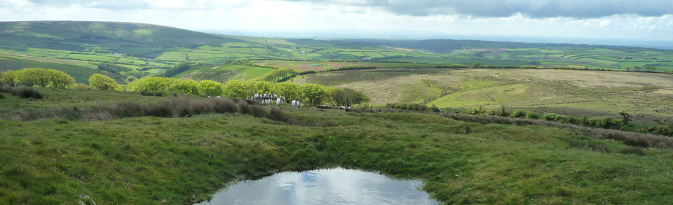 Challacombe in Exmoor National Park, North Devon, a Guide for Visitors