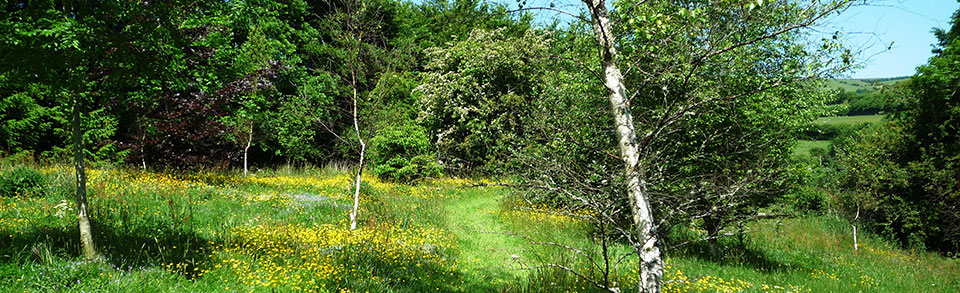 Tranquil Wildlife Gardens at Exmoor Cottage Holidays, Exmoor in North Devon